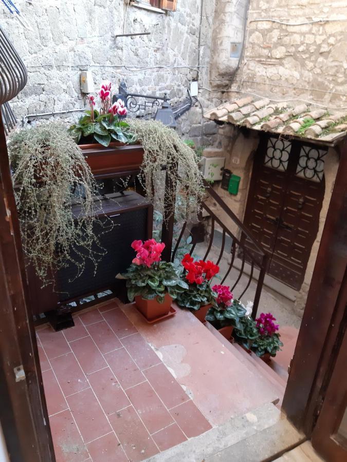 Villa Gusto E Benessere Sweet Home E Ristorante Sacrofano Exteriér fotografie